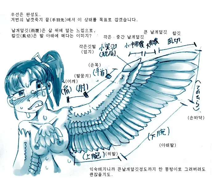 Tori TF Ni Kansuru Kousatsu To Renshuu | Study And Practice About Bird TF